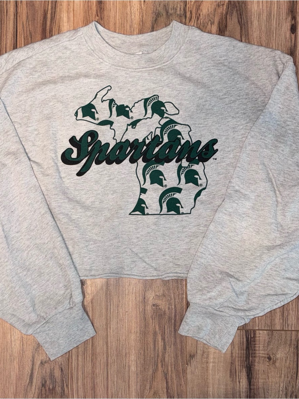 Michigan Spartans Grey Crewneck Sweatshirt